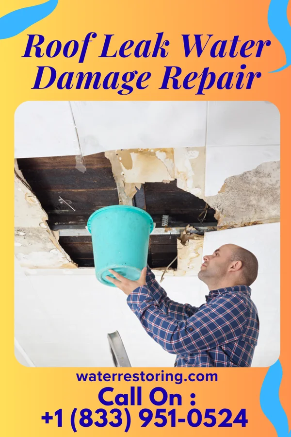 Roof Leak Water Damage Repair in Iola, KS